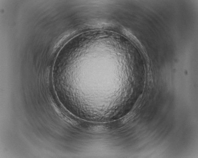 X0000056030058200509021832