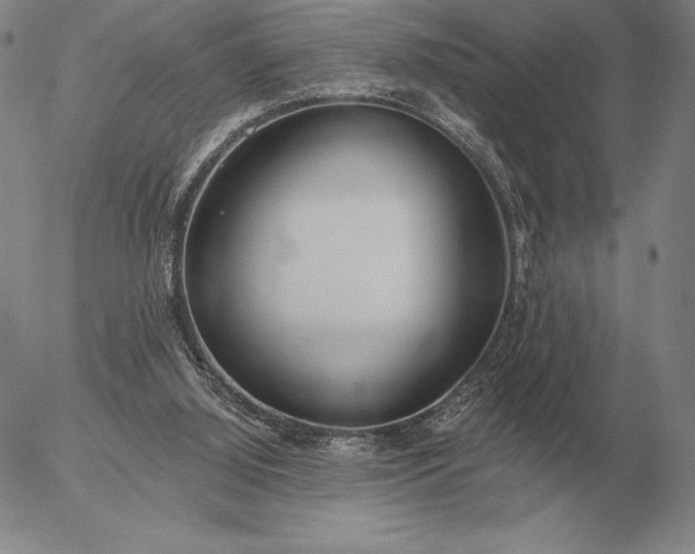 X0000056030060200509021832