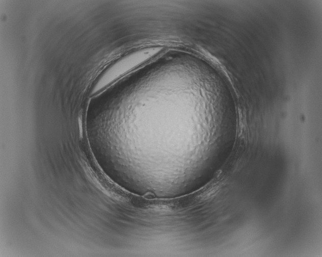 X0000056030061200509021832