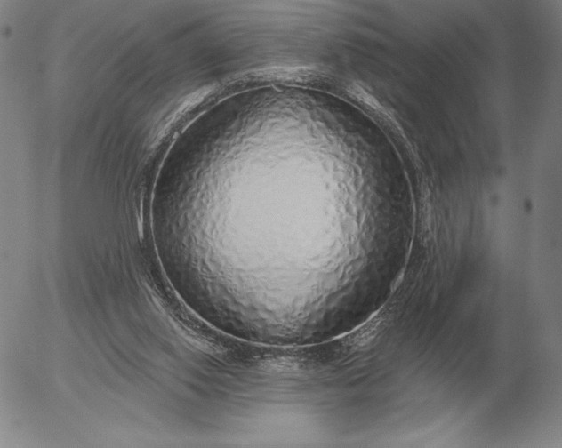 X0000056030062200509021832