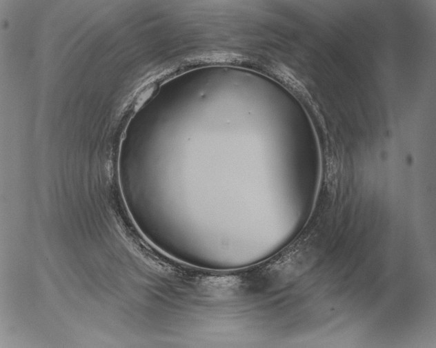 X0000056030063200509021832