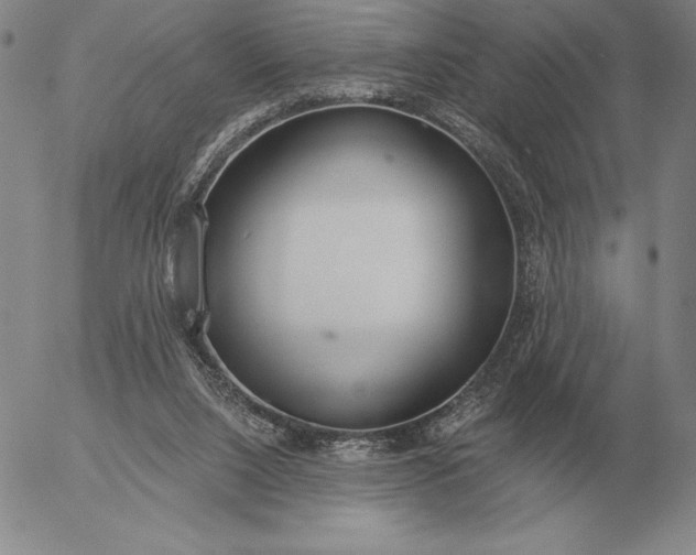 X0000056030064200509021832