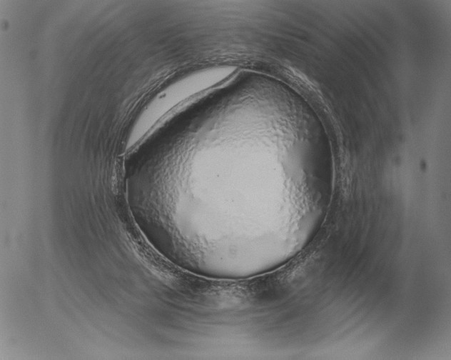 X0000056030065200509021832