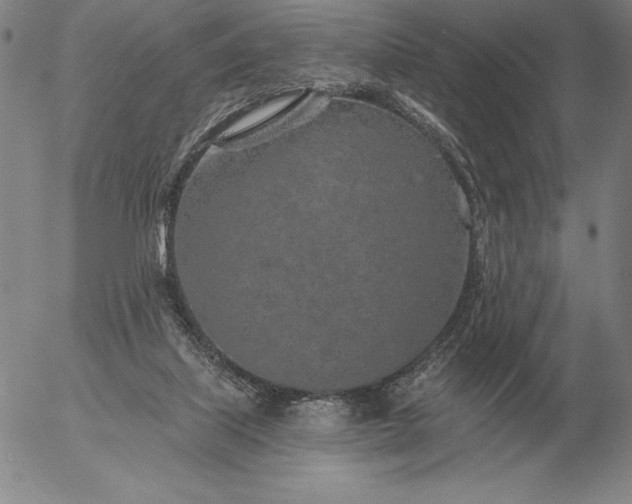 X0000056030067200509021832