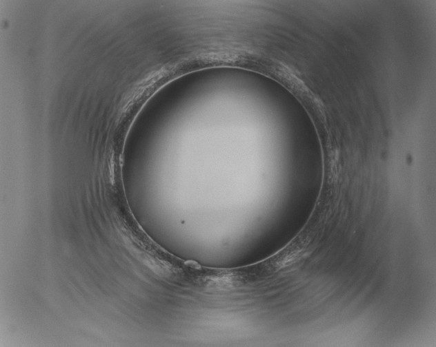 X0000056030068200509021832