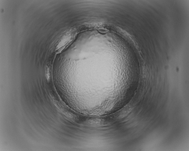 X0000056030069200509021832