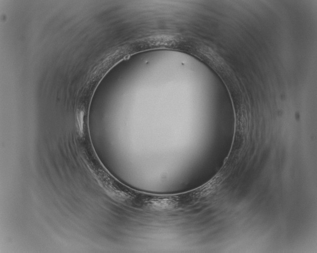 X0000056030070200509021832