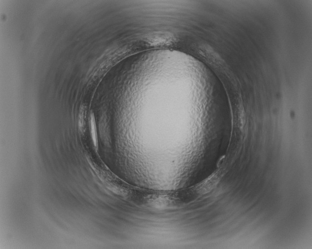 X0000056030074200509021833