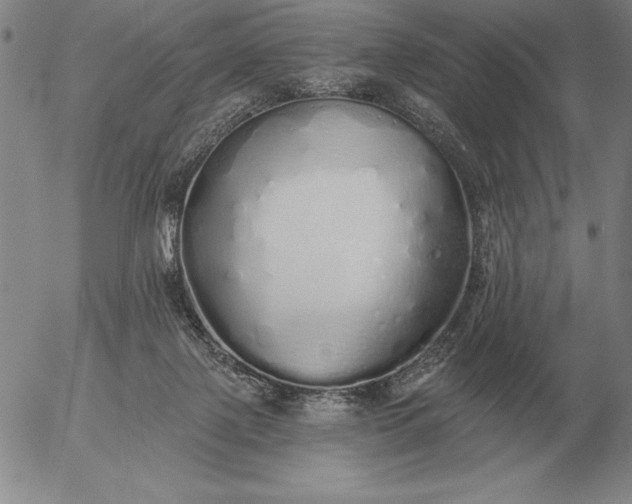 X0000056030075200509021833