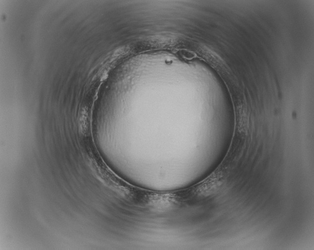 X0000056030077200509021833