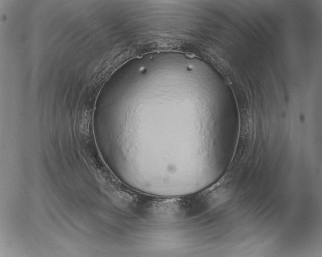 X0000056030078200509021833