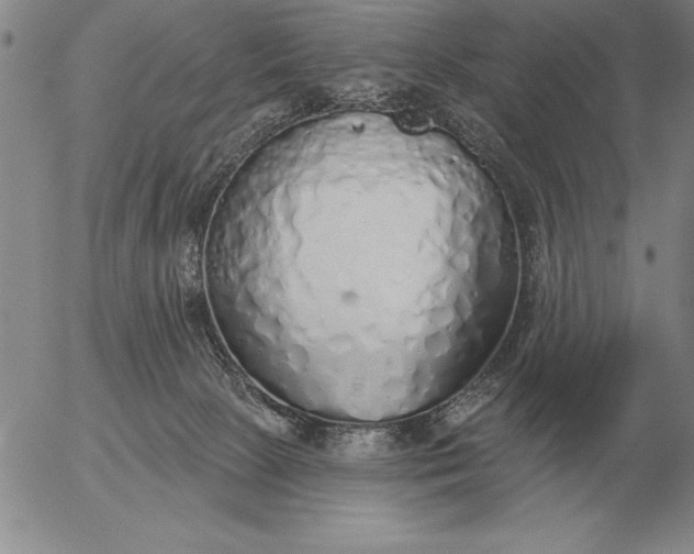 X0000056030081200509021833