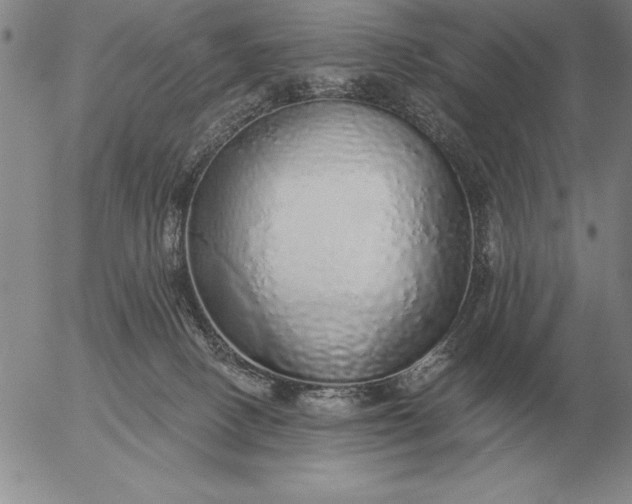 X0000056030082200509021833