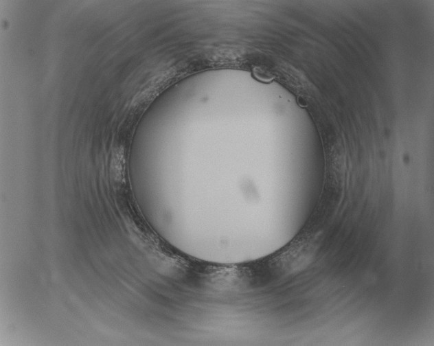 X0000056030083200509021833