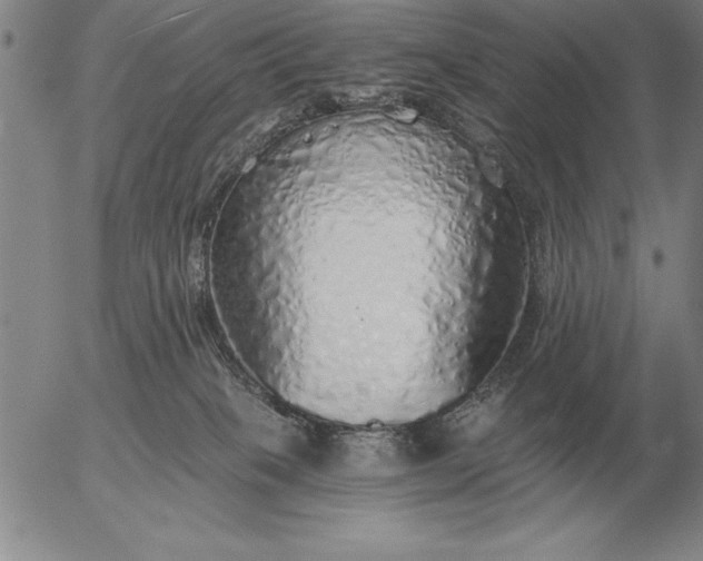 X0000056030085200509021833