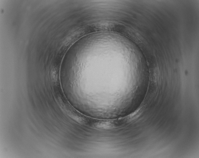 X0000056030086200509021833