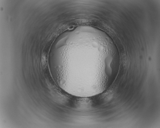 X0000056030087200509021833