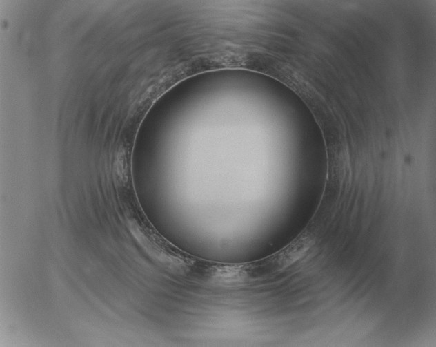 X0000056030088200509021833