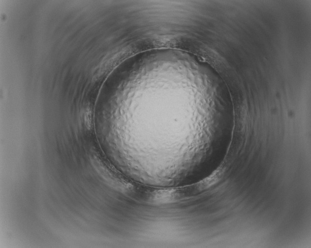 X0000056030090200509021833