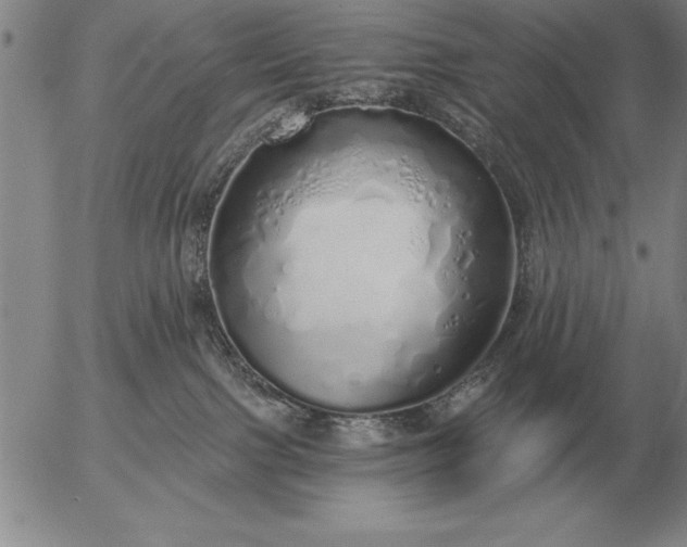 X0000056030091200509021833