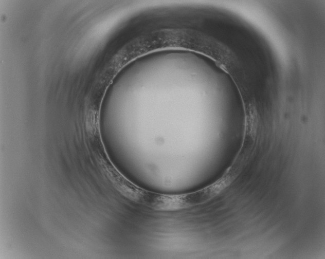 X0000056030093200509021833