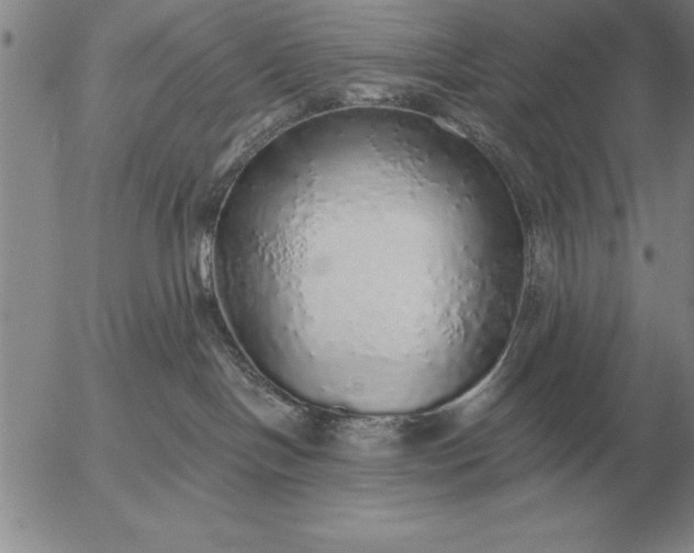 X0000056030094200509021833