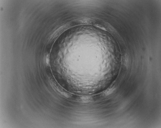 X0000056030095200509021833