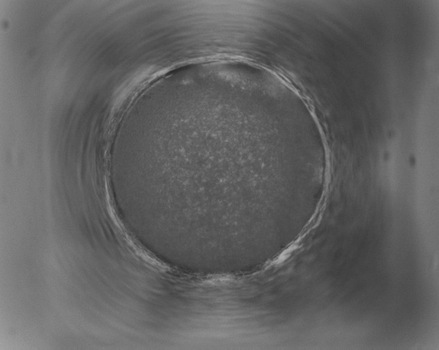 X0000056030097200509021832