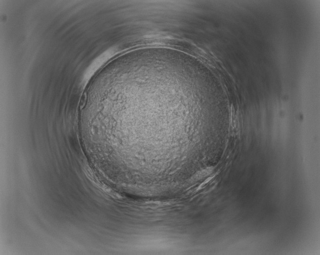 X0000056030099200509021832