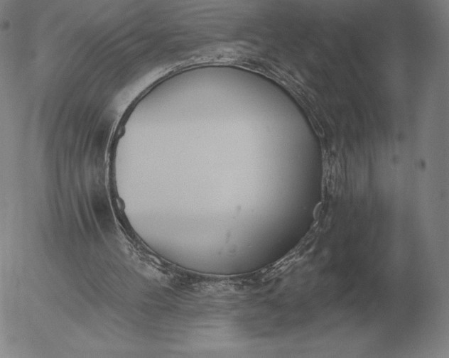 X0000056030100200509021832