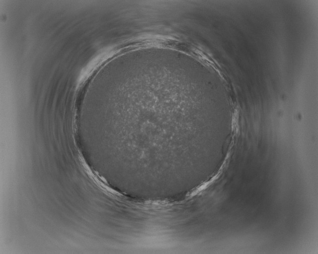 X0000056030101200509021832