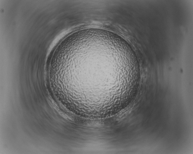 X0000056030102200509021832