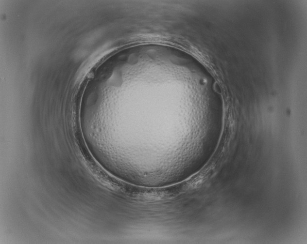 X0000056030103200509021832