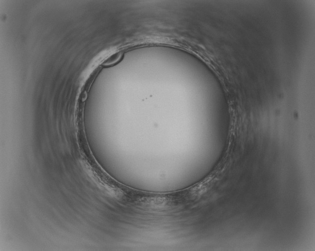 X0000056030104200509021832