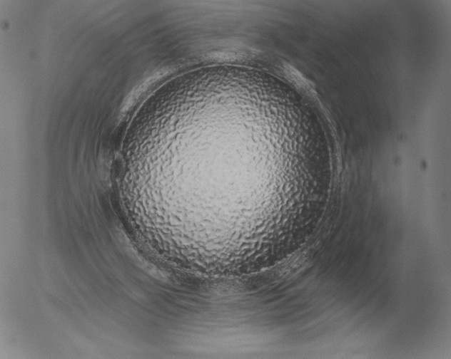 X0000056030106200509021832