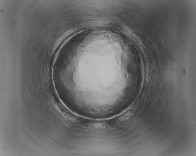 X0000056030107200509021832