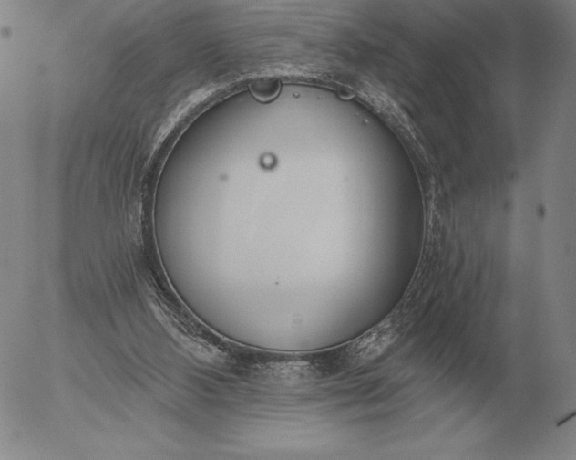 X0000056030108200509021832