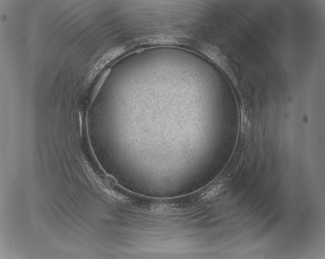 X0000056030109200509021832