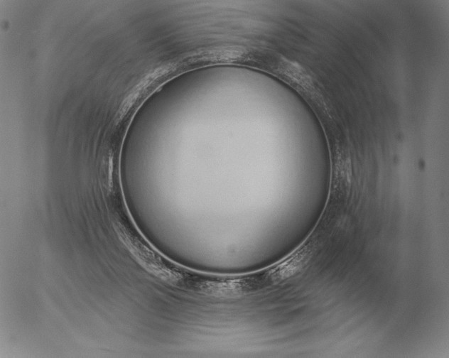 X0000056030110200509021832