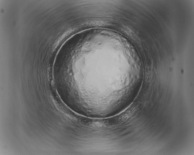 X0000056030111200509021832