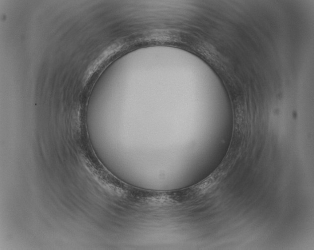 X0000056030112200509021832