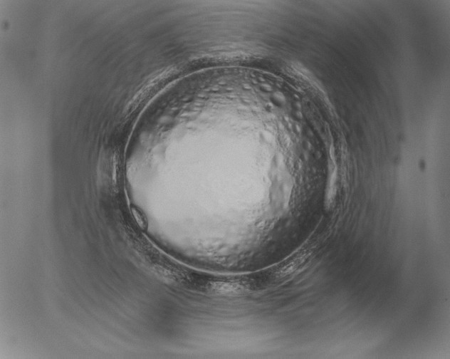 X0000056030115200509021832