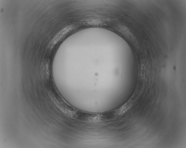 X0000056030116200509021832