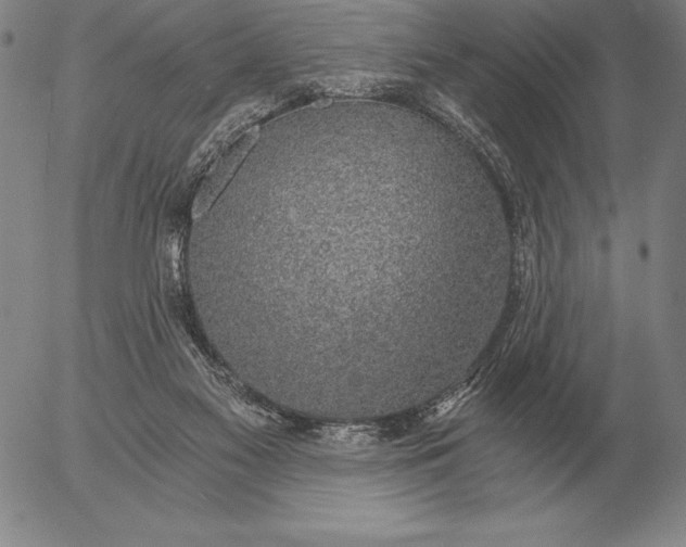 X0000056030117200509021832