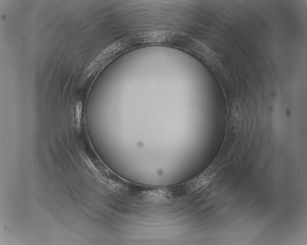 X0000056030118200509021832