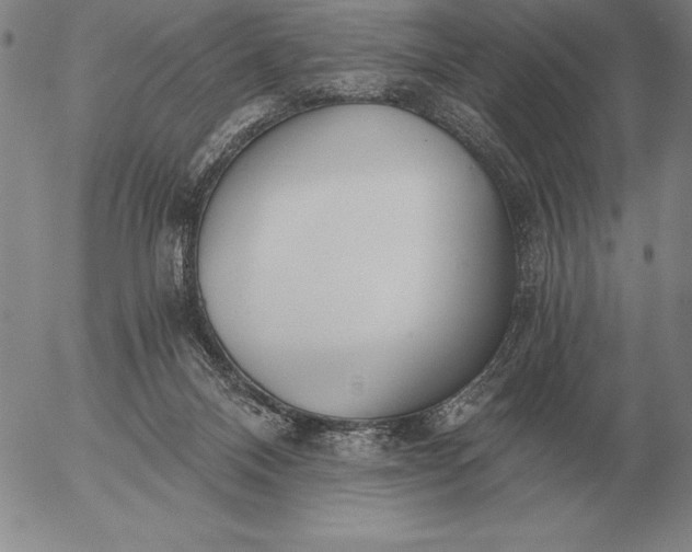 X0000056030120200509021832