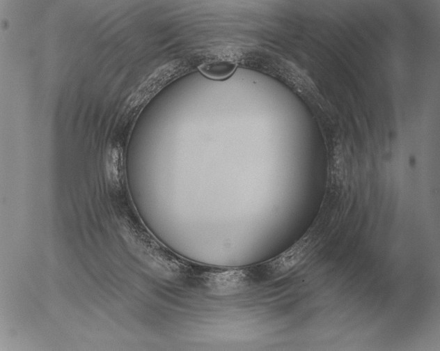 X0000056030122200509021832