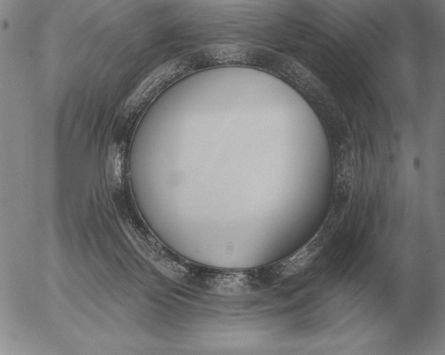 X0000056030124200509021832