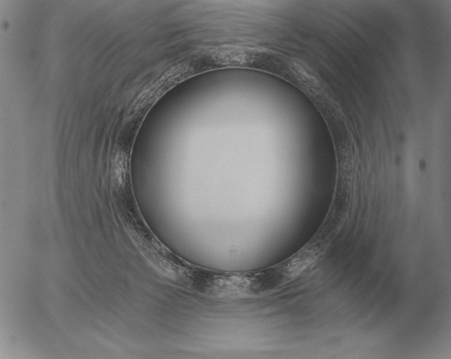 X0000056030125200509021832