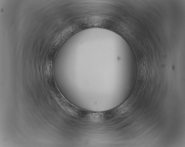 X0000056030126200509021832